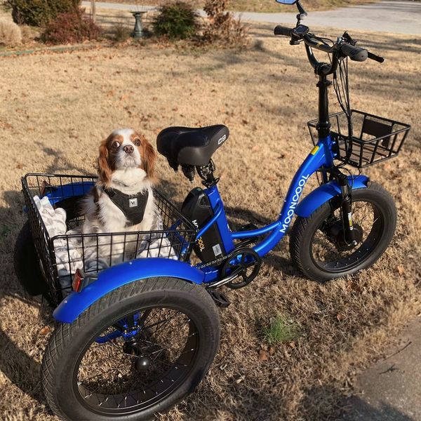 ⚡Clearance Sale🚲 - TK1 Folding Electric Trike